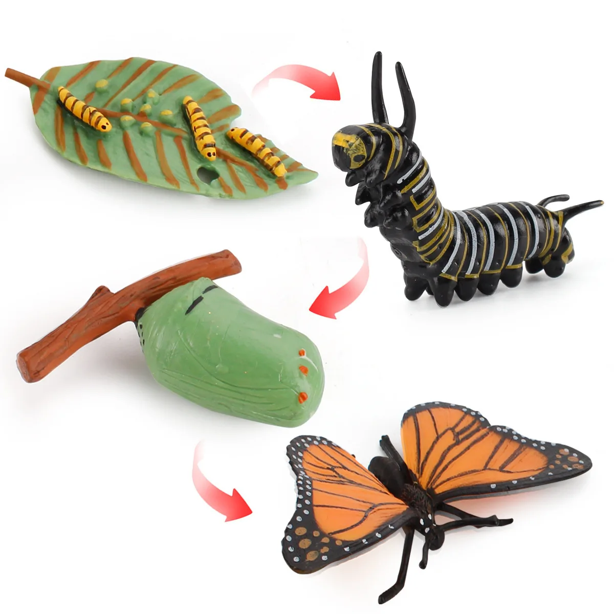 1set Artificial Insect Life Cycle Butterfly Stag Beetle Model Mini Growth Stage Figurines Desktop Decor Craft Ornament