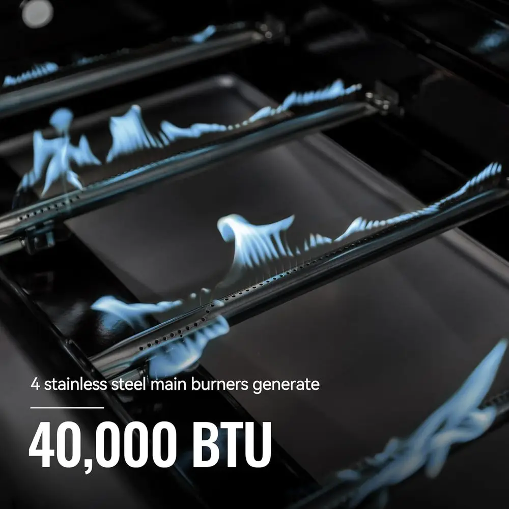 5-Burner Stainless Steel Side Burner Propane Gas Grill, Silver