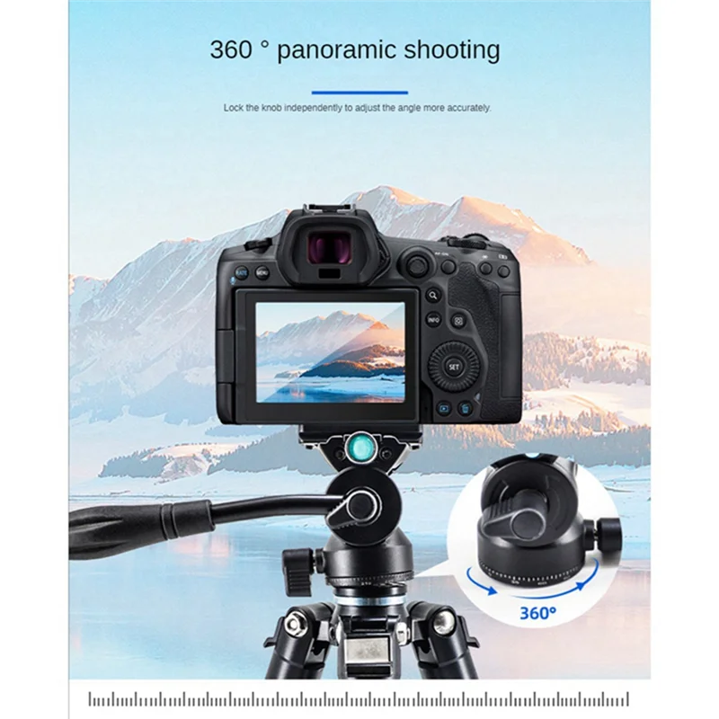 Leading-Damping Hea…