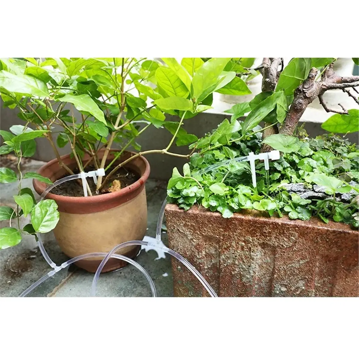 Drip Irrigation Kit for Potted Plants with 20m 4/7mm Hose and Regulating Valve for Efficient Watering