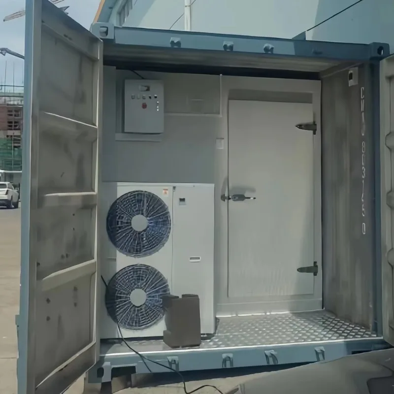 Industrial Mobile Freezer Container 20ft Easy to Operate Cold Room Vegetable Preservation
