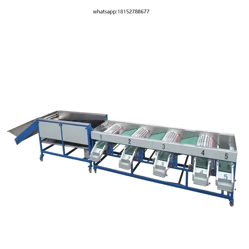 Drying Grading Machine for Fruit Vegetables Efficient Potato Onion Sorting Line High Efficiency