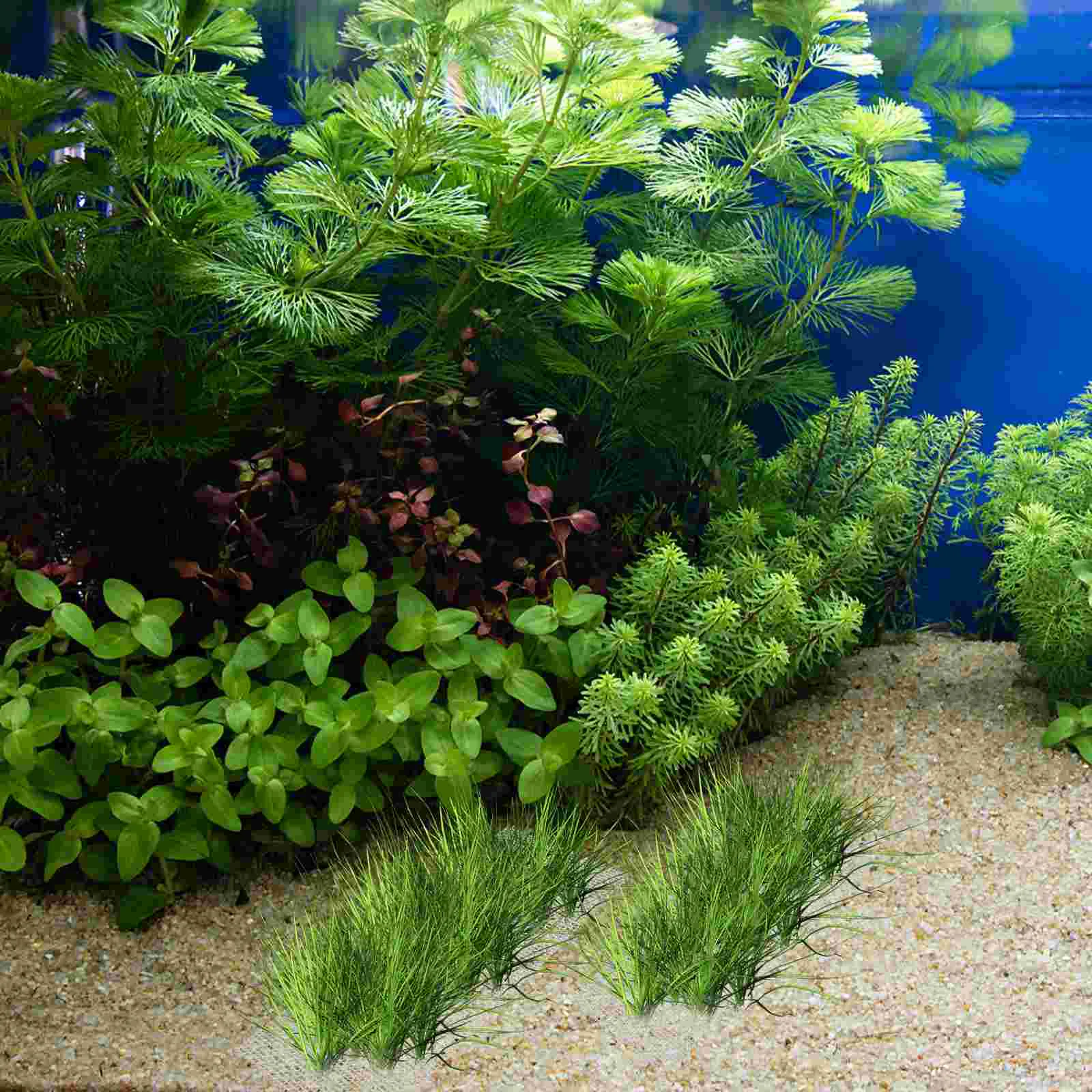 15 PCS Aquatic Mesh Fish Tank Moss Stainless Steel Premium Wall Seaweed Carpet Practical Silver Sturdy Multi-functional