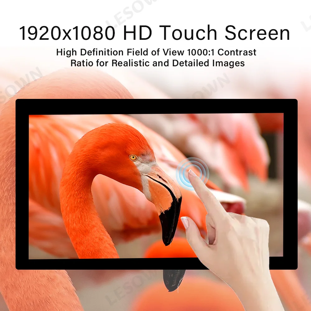 LESOWN 18.5 Inch Interactive Touch Monitor LCD Panel 1366x768 G+G Glass Screen POS Kiosk Machine Display HDTV VGA