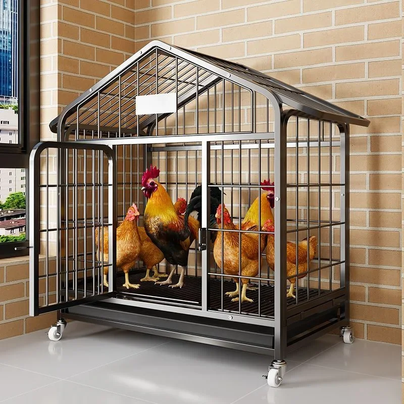 Cage for laying eggs for chickens, outdoor chicken shed, chicken farm specific chicken cage