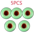 B5- Kiwifruit