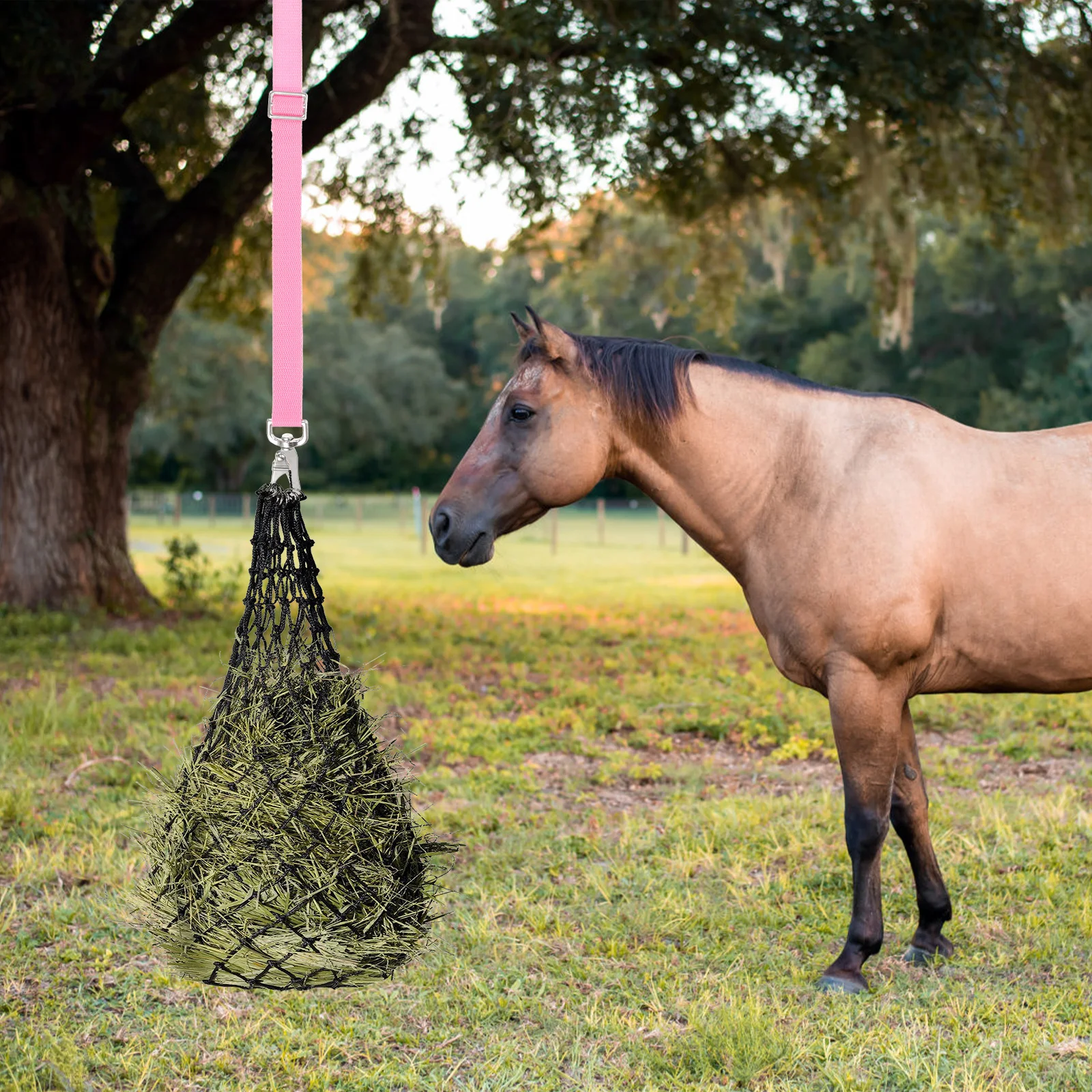 

Adjustable Wear-Resistant Horse Bucket Strap Reusable Bucket Hanger Strap for Gates Fences Feeder Hanging Accessory