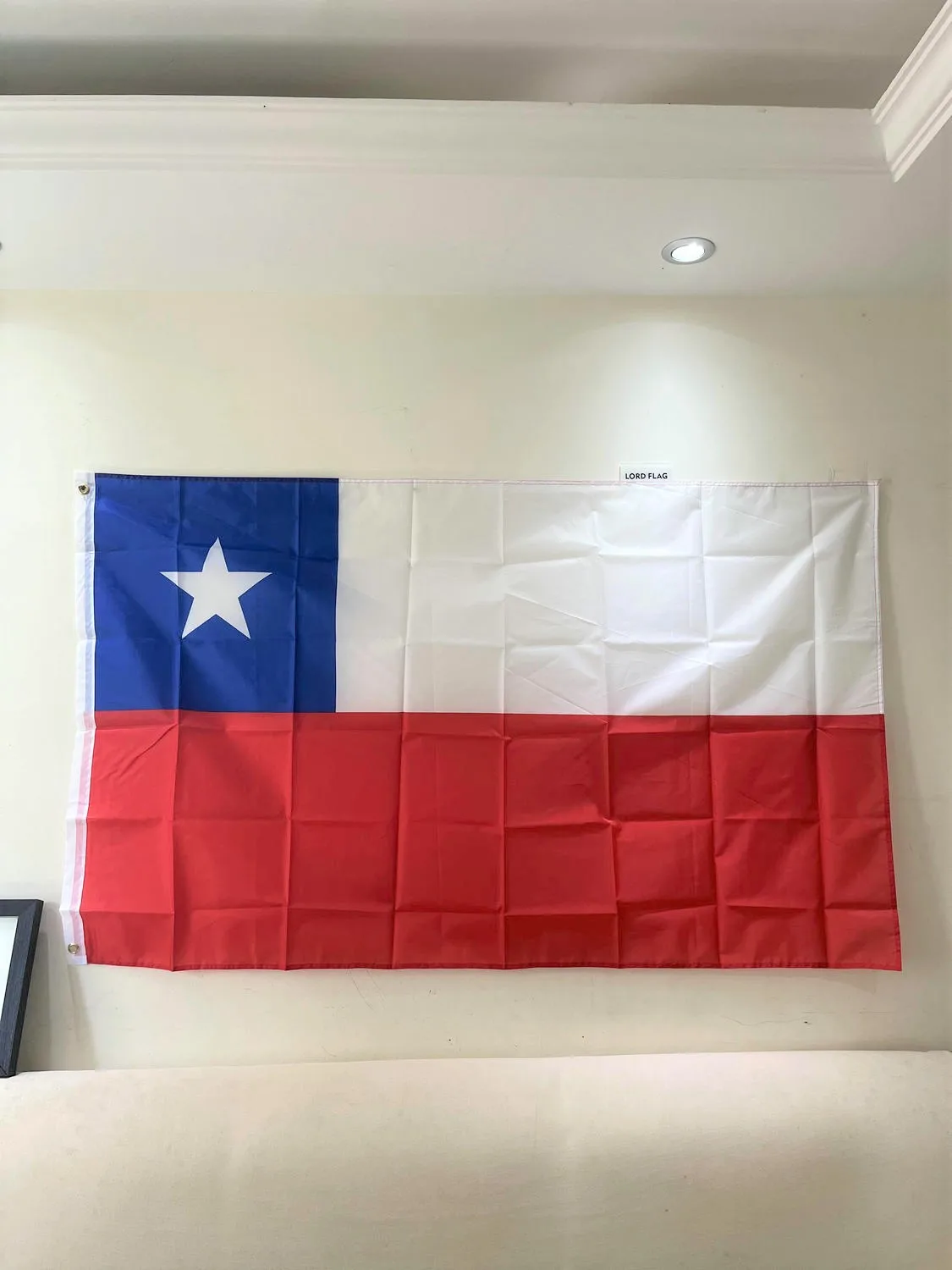 Free Shipping CL Chilean National Flag 90*150cm Chile Flag 100% Polyester Banner with 2 Grommets for Hanging