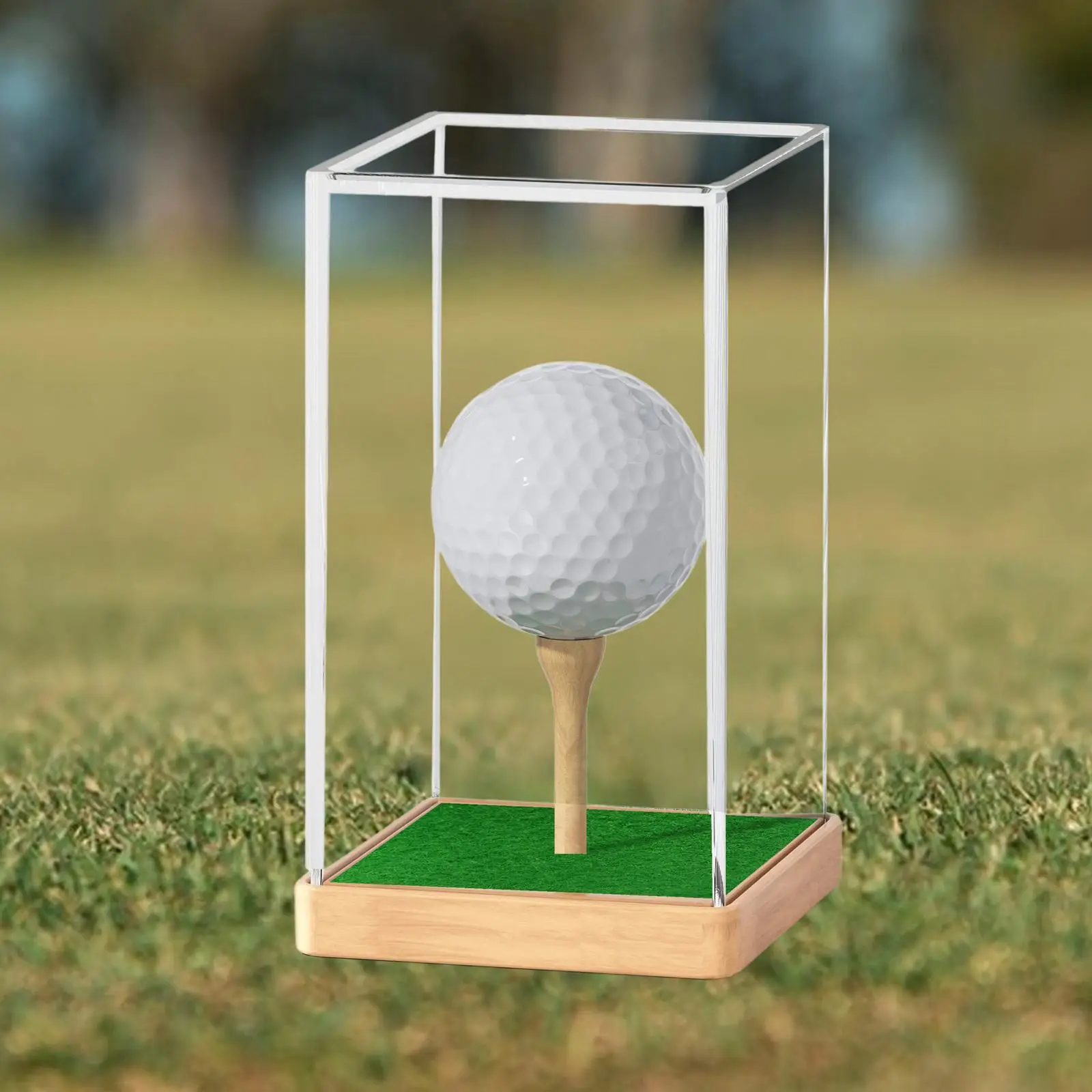 Clear Golf Ball Display Case Holder with Wooden Base Storage Box Golf Protection Cover for Jewelry Earphone Souvenir Golfball