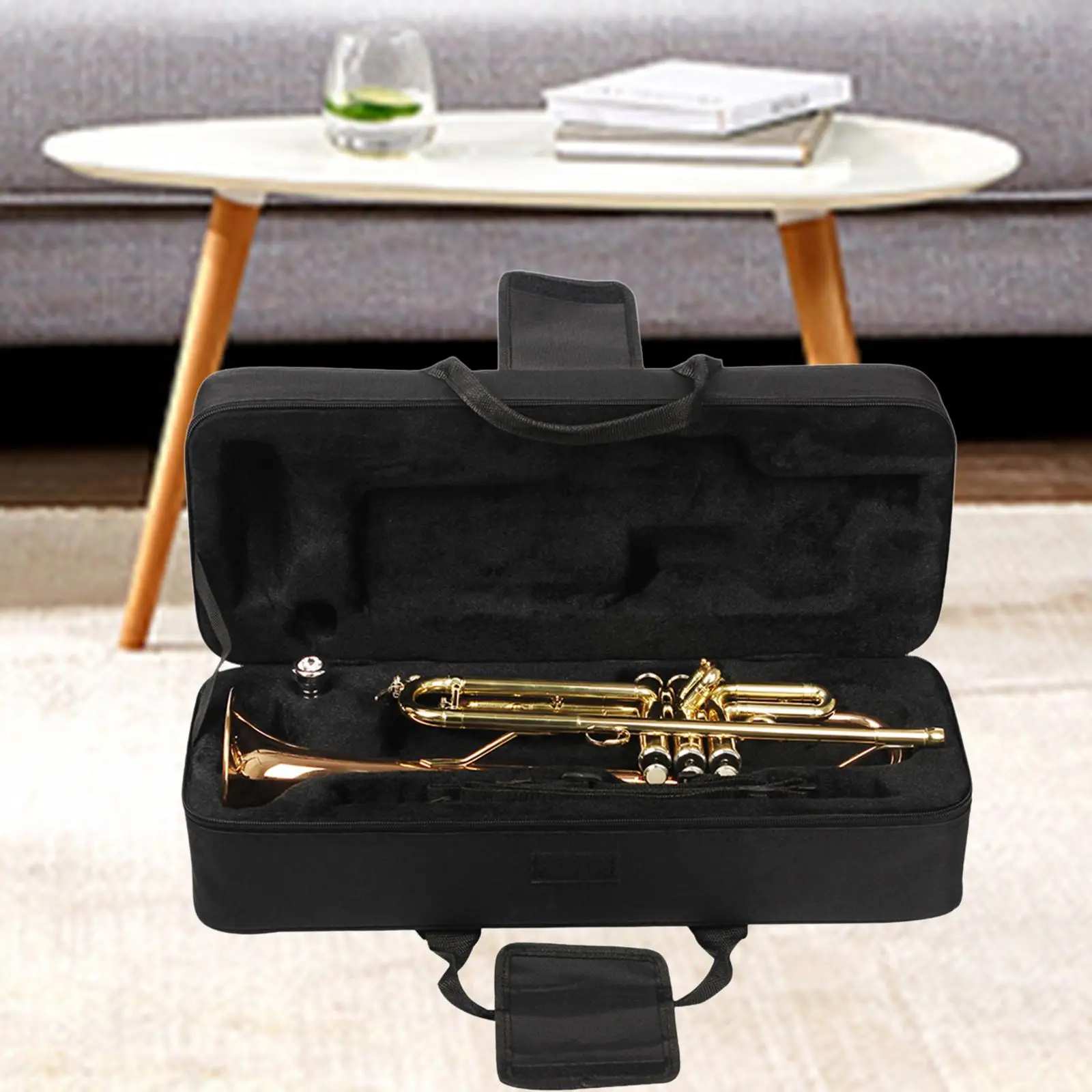 Trumpet Carrying Case Instrument Accessories Storage Box Trumpet Gig Bag