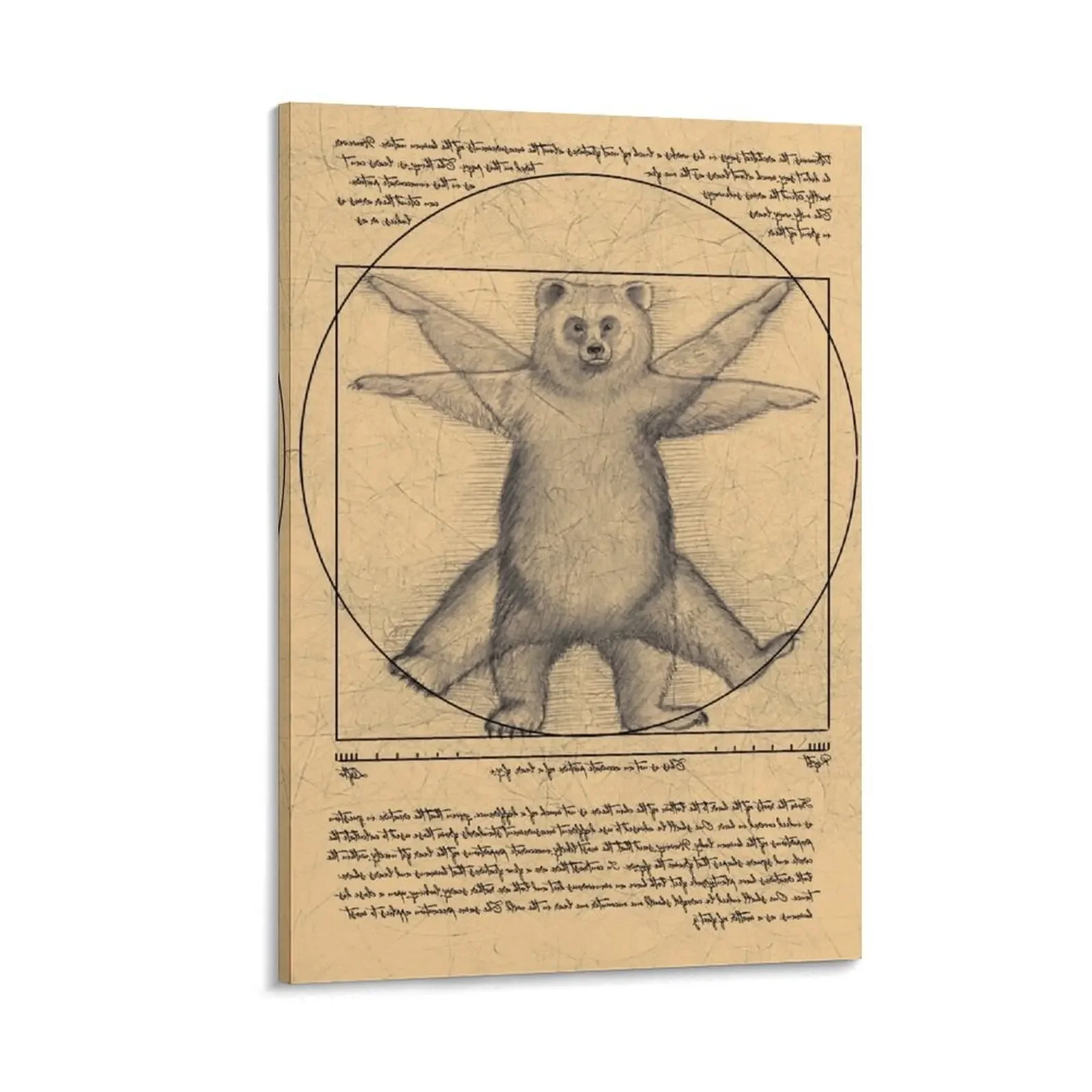 

The vitruvian bear Canvas Painting home decor home decorations and organization Wall decoration frame