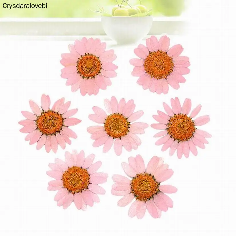 1080 pcs Pressed Press Dried Daisy Dry Flower Plants For Epoxy Resin Pendant Necklace Jewelry Making Craft DIY Accessories