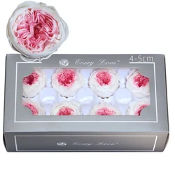 8 pz/scatola fiori eterni A grade Austin Roses 4-5cm fai da te san valentino festa della mamma regalo fiori di nozze decorazione decorazioni per la casa