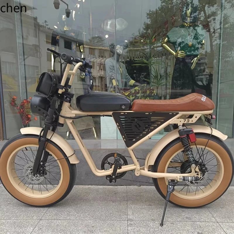 

ZML Off-Road Retro Electric Bicycle Commuter Battery Electric Bike