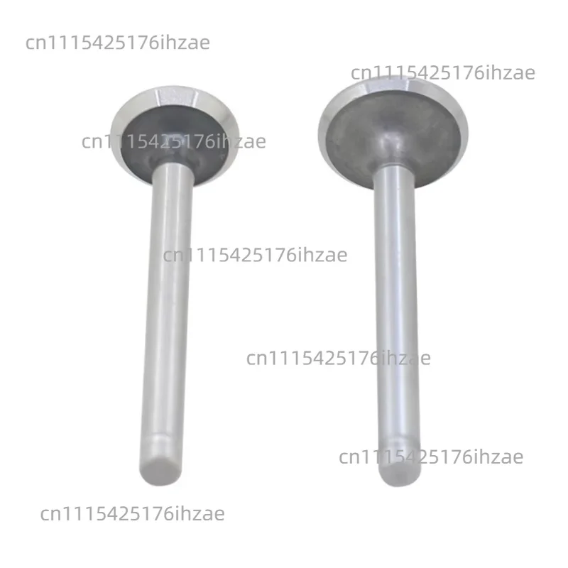 Original Petrol Engine Fittings EX13 EX17 EX21 EX27 EX40 Valve Intake and Exhaust Valve Oil Seals