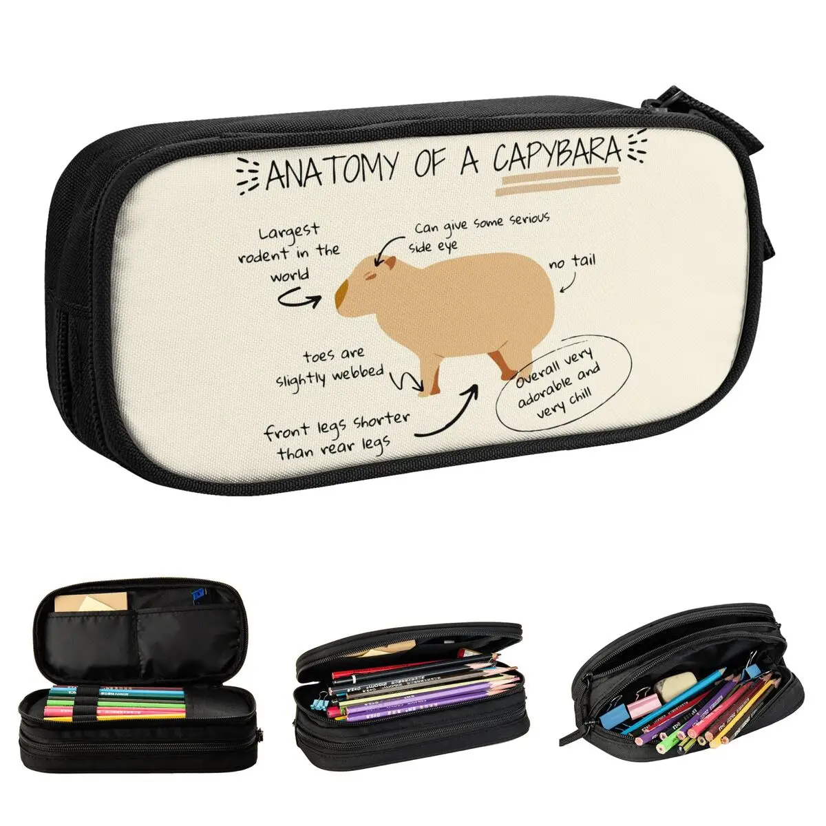 Capybara Anime Pencil Case, Pen Box para Crianças, Bolsa de Grande Capacidade para Estudantes, Papelaria Escolar, Anatomia