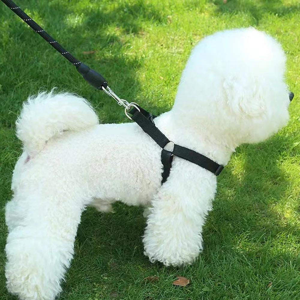 Thumbnail 4 - #20 Ranked Adjustable Pet Collars Picks in 2026