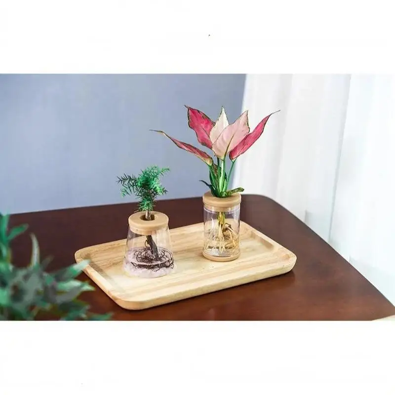 Clear Glass Hydroponic Vase Geometric Style with Wood Lid for Water Planting Desktop Decoration