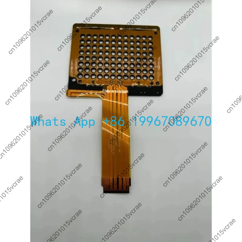 B-Ole CFX96 Quantit… - image