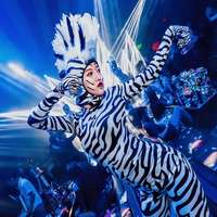 Bar GOGO Performance Costume Female A Group Sexy Zebra Animal Cosplay Elegant and Beautiful Oscar DS Stage Costume