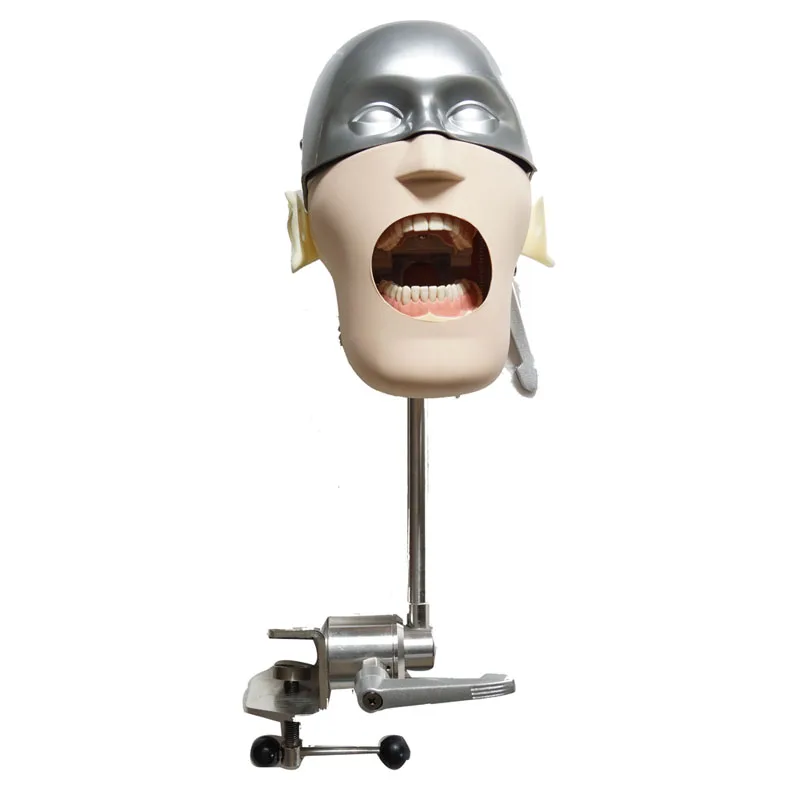 

Dental Stainless Steel Simple Head Oral Cavity Simulation Training Model