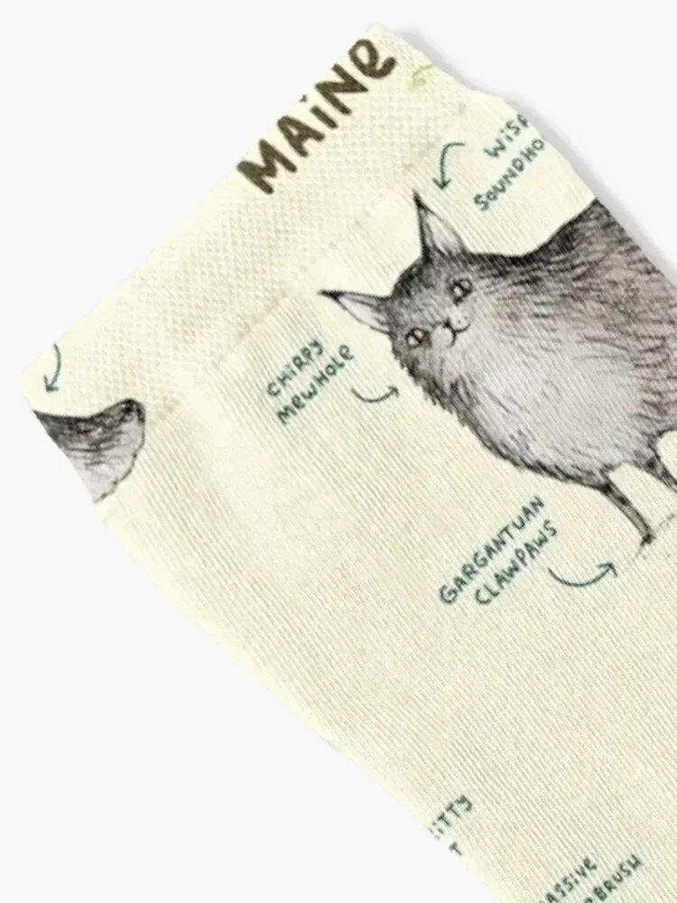 Anatomy of a Maine Coon Socks christmass gift anti-slip Crossfit man Socks For Girls Men's