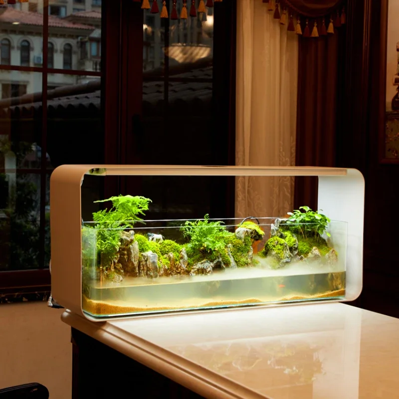 Creative Water and Land Tank Circulating Water Landscape Rainforest Tank Fish Globe