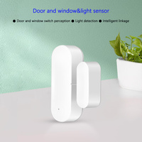 Graffiti WiFi Smart Door and Window Detector Door Magnetic Light Composite Sensor Low Power Reminder APP Control Quick Alarm