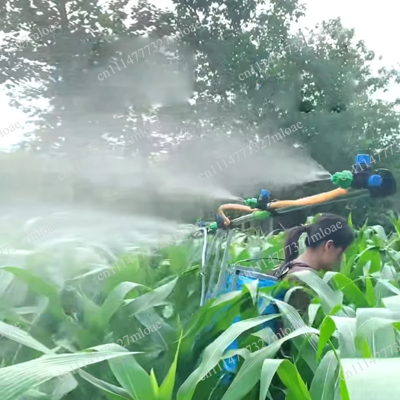 Agricultural and Household Lithium-Ion Batteries High Productivity Electric Backpack Sprayers
