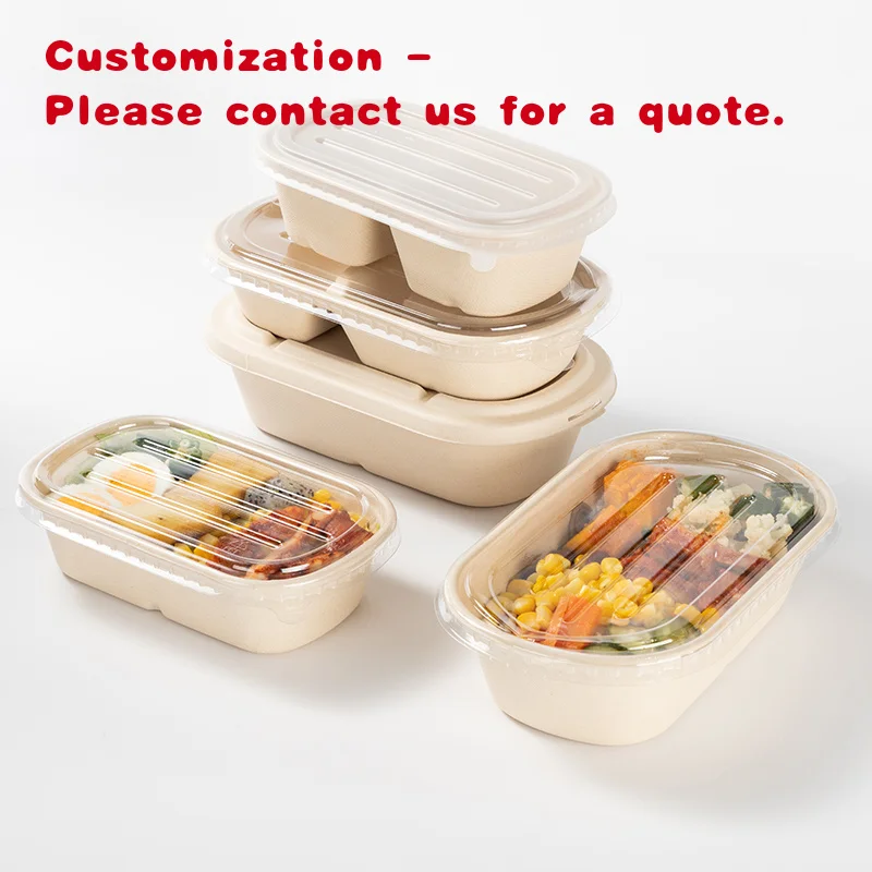

custom.LOKYO Disposable Sugarcane Pulp Food Tray Packaging Container to Go Degradable Bagasse Bento Lunch Box