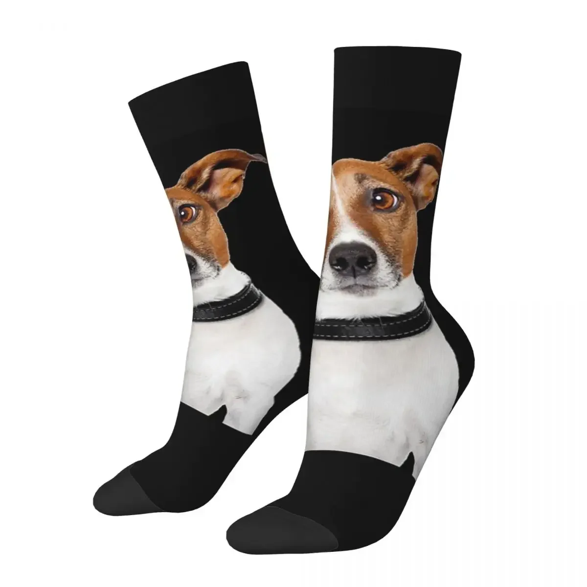 Jack Russell Terrier Dog Funny Socks Harajuku Sweat Absorbing Stockings All Season Long Socks Accessories for Christmas Gifts