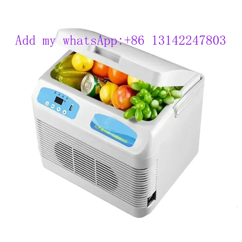 

12V 100-240V cooler for camping car mini fridge box