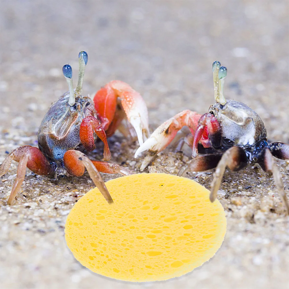 

50Pcs Hermit Crab Humidity Keeping Sponges Premium Natural Round Sponges for Pet Crab Habitat Water Dish Accessories Multi