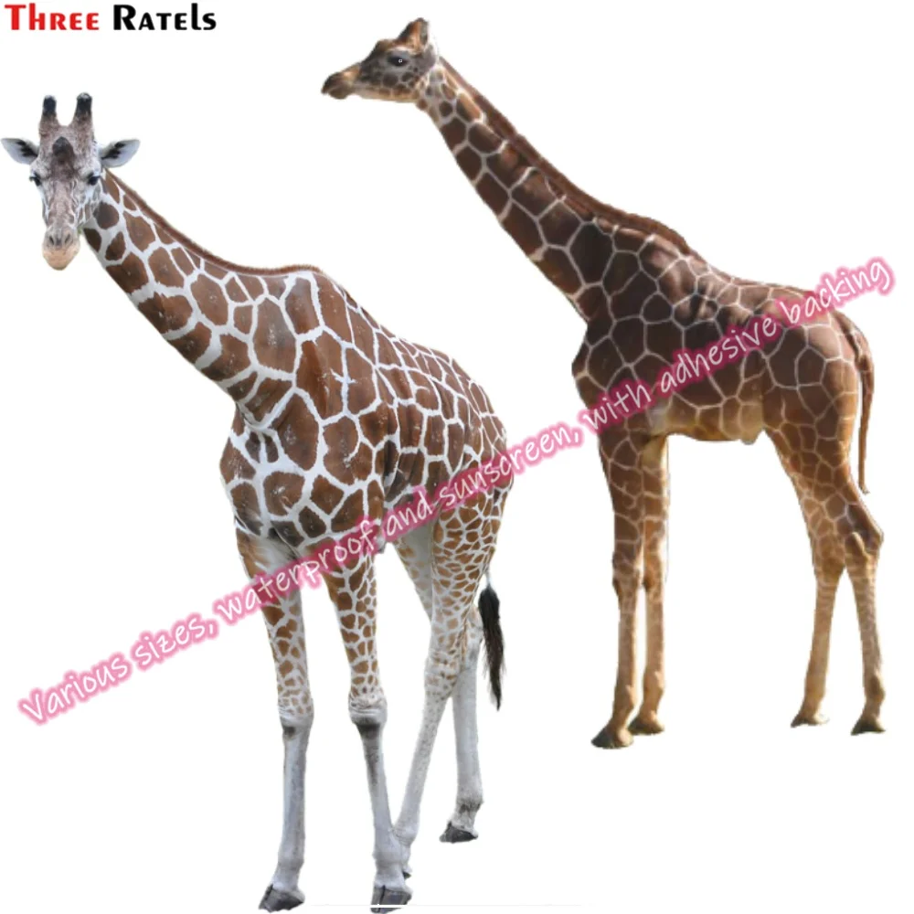Three Ratels N151 Custom Stickers For Novelty Auto Supplies Useful Things for Cars Accessories for Mercedes W204 Laptop Decal