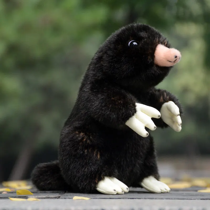 

H20cm Cute Czech Mole Plush Toy Unisex Friend Birthday Gift