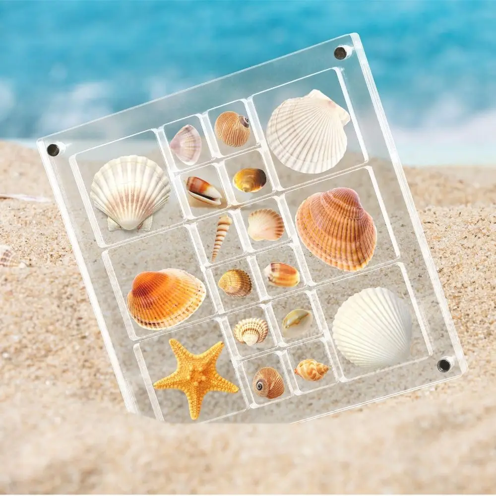 Magnetic Seashell Display Box Clear Seashell Storage Box Transparent Plastic Mini Seashell Collection Case Small Craft Organizer