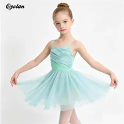 Kids Girls Glittery Gymnastics Leotard Figure Skating Costume Sheer Mesh Ballet Lyrical Latin Contemporary Modern Dance Dress