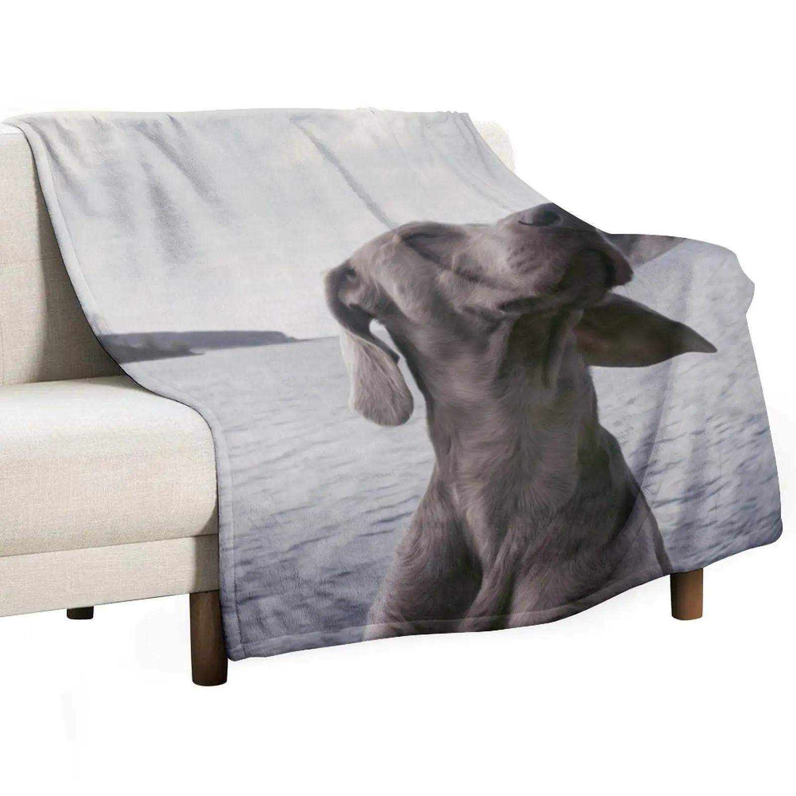 Weimaraner Breed Dog Animal Lake Water Throw Blanket Flannel Blankets For Baby Blankets