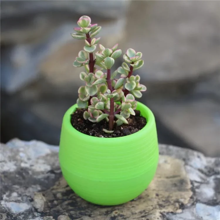 1pcs 7*7cm Mini Pp Resin Plastic Plant Small Flower Pot Colorful Mini Potted Plant Small Flower Pot Decoration Office Decoration