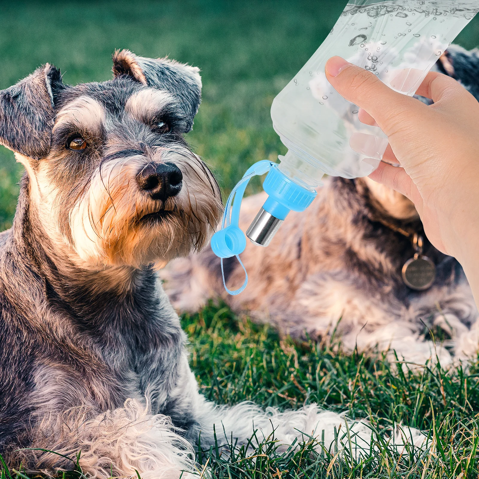 2 pezzi bottiglia d'acqua per animali domestici per cane gatto coniglio piccolo animale portatile a prova di perdite uso da viaggio all'aperto contenitore per bere durevole per