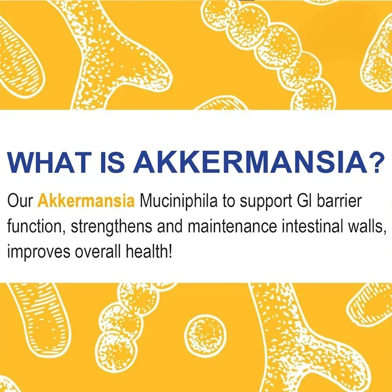 Probiotik GLP-1 |   300 Miliar AFU Akkermansia, Cocok untuk Produksi GLP-1, Pencernaan, Usus, Imunitas, 60 Kapsul