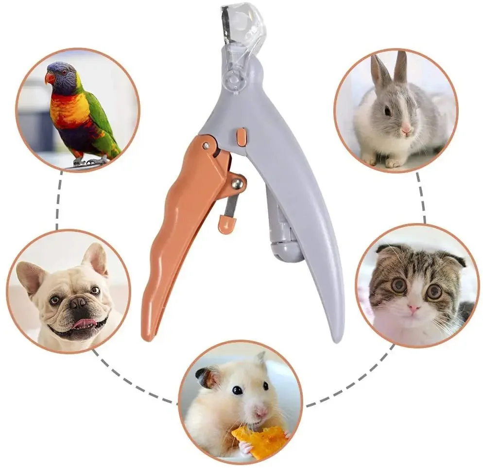 

Professional Pet Nail Clipper Scissors LED Light Cat Dog Nail Clippers Tool Scissors Nail Toeclaw Cutter Scissors Pet Supplies