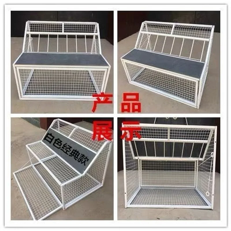 Pigeons jump into the cage and out of the door. Stainless steel racing pigeon training cage
