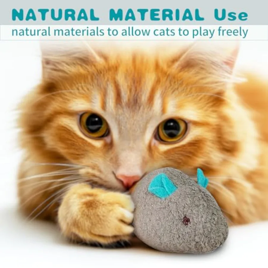 لعبة القط لعبة تفاعلية قطط قطط قطيفة على شكل فأر لعبة مضغ القط في الأماكن المغلقة.