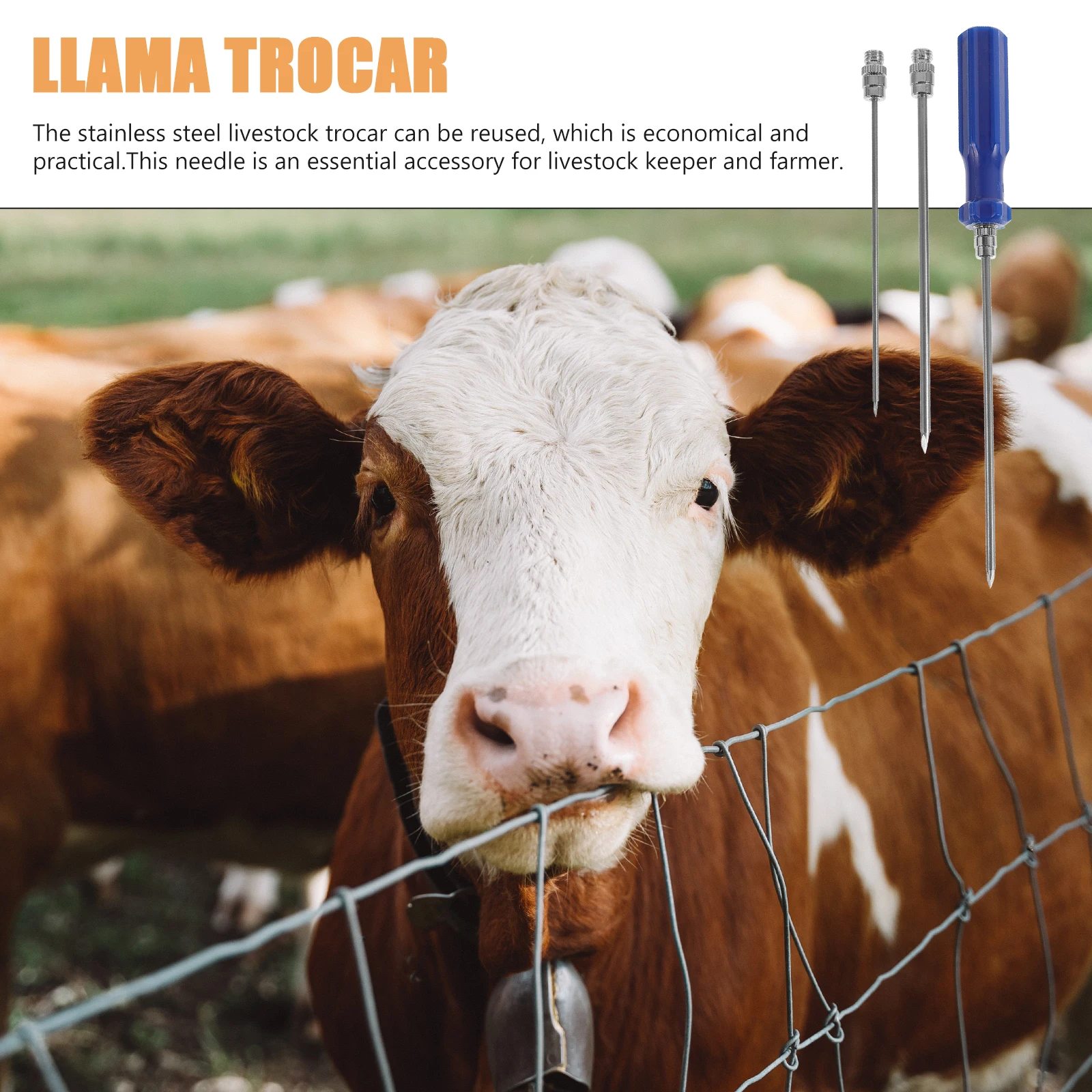 

Stainless Steel Trocar Needle for Cattle Sheep Rumen Deflation Reusable Ventilating Cannula Lightweight Compact Size