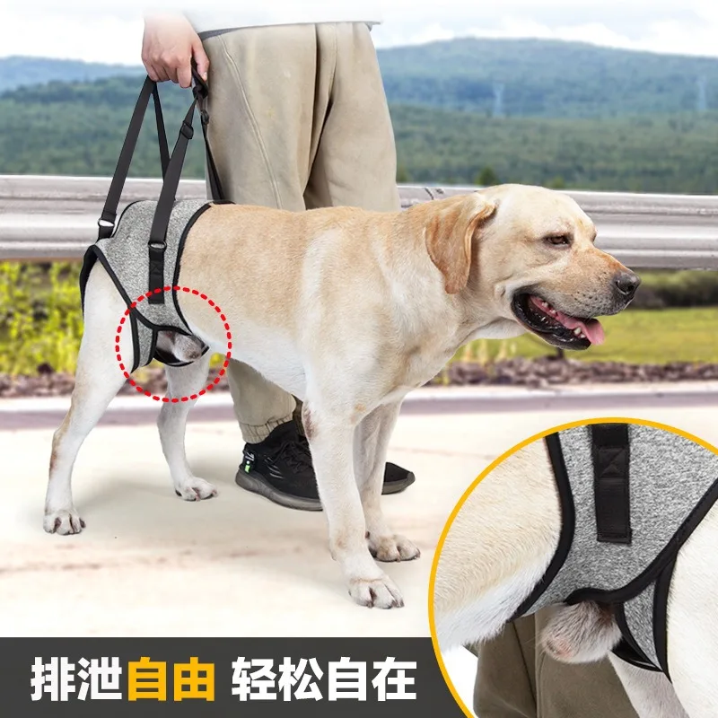 Pet Hind Leg Support Harness Dog Mobility Lift Sling Walking Assist Strap for Senior Injured Dogs Outdoor Aid Leash