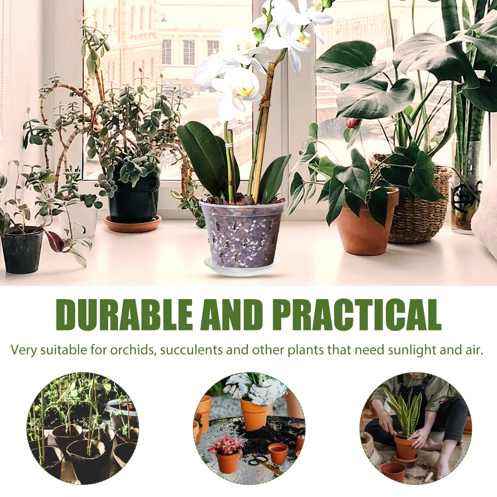 

1Set Butterfly Orchid Planter Pot Premium Plastic Breathable Garden Plant Container for Indoor Office Balcony Coffee Shop