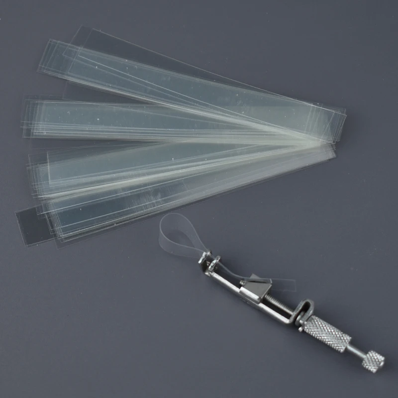 Dental Polyester Matrix Bands Matrices Dental Material Matrices Without Matrix Retainer Dental Products view 3