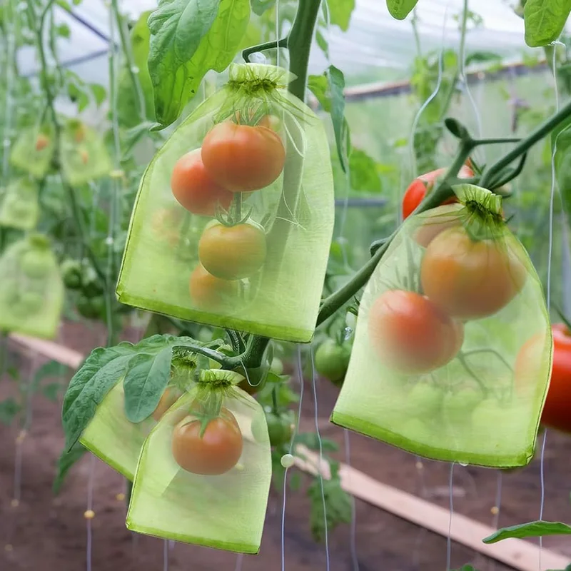 100 قطعة من أكياس شبكية من فواكه الأورجانزا قابلة للتنفس باللون الأخضر العسكري للمانجو والزهور والموز تحمي النباتات من الضرر