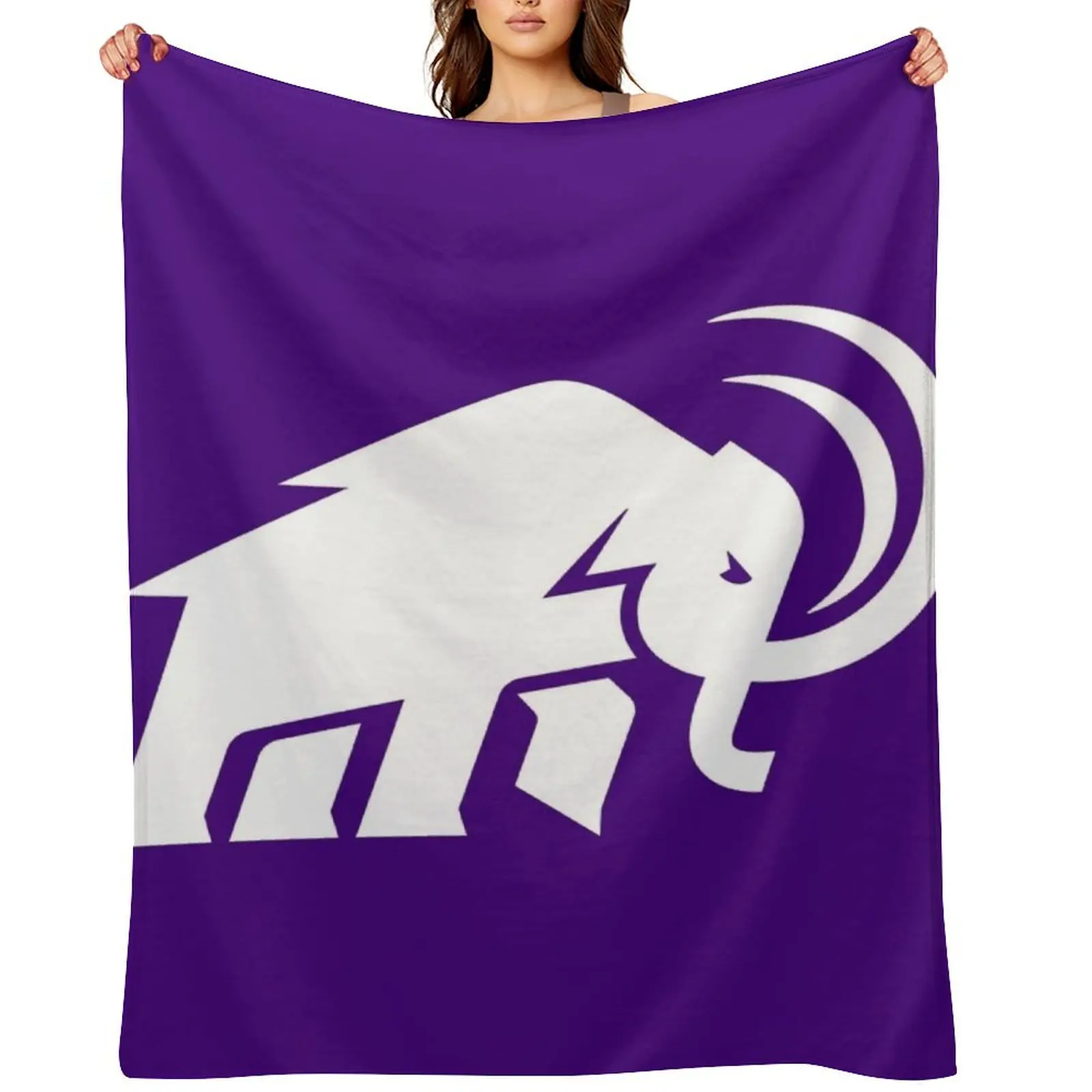 

Amherst College Throw Blanket Blankets For Sofas Vintage cosplay anime Comforter Blankets
